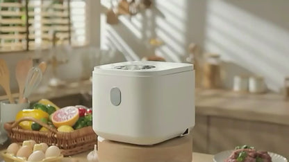 2.5L Mini Steamer & Rice Cooker