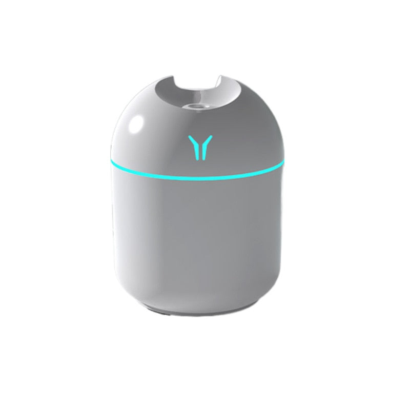 "Mini" 250ML Humidifier