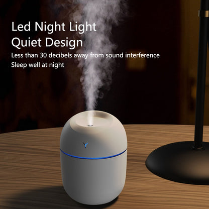 "Mini" 250ML Humidifier