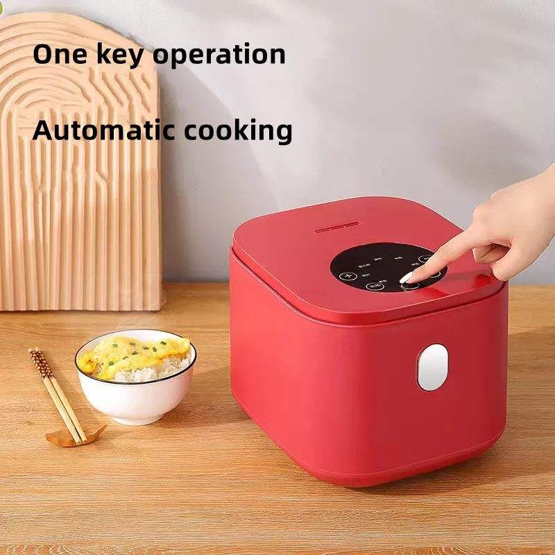 2.5L Mini Steamer & Rice Cooker