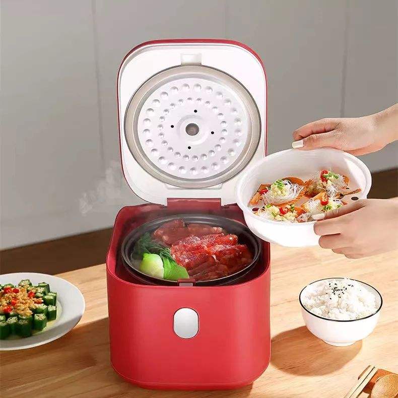 2.5L Mini Steamer & Rice Cooker