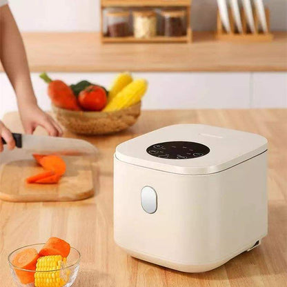 2.5L Mini Steamer & Rice Cooker